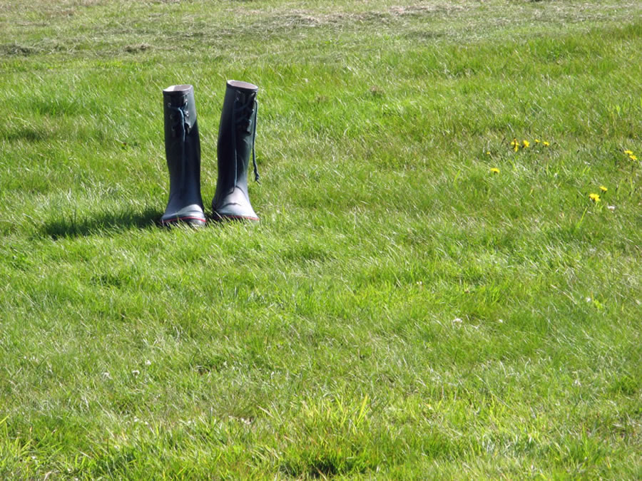 garden boots on grass